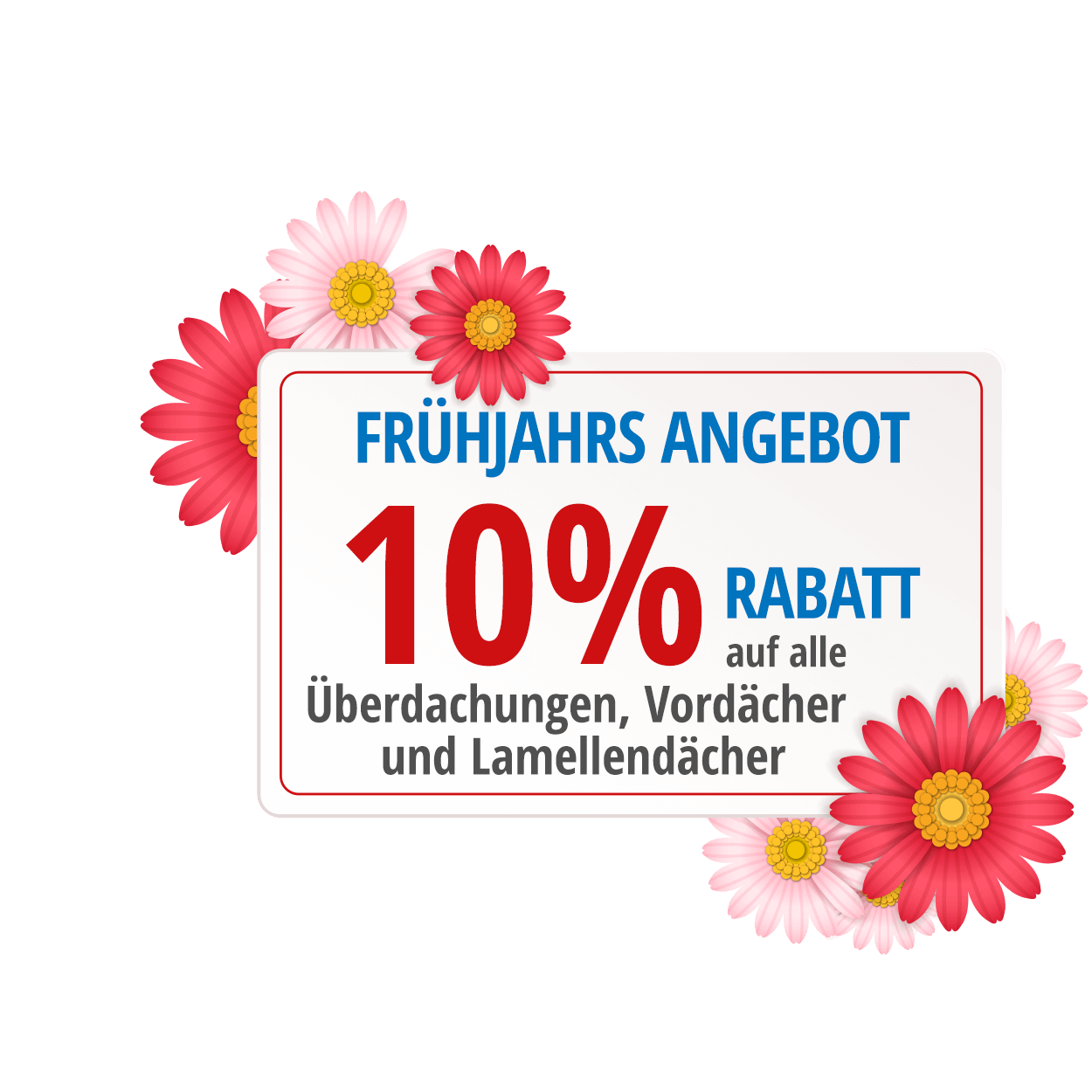 frühjahr angebot – 10